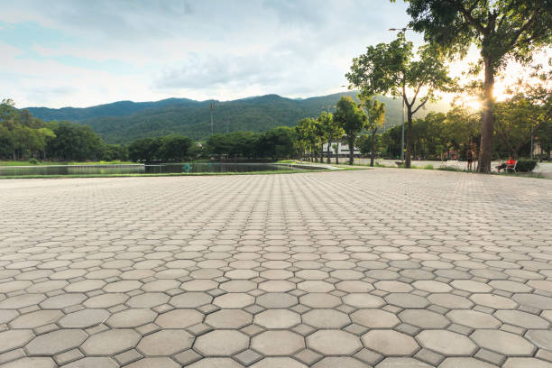 Best Residential Driveway Paver Services  in Hemby Bridge, NC
